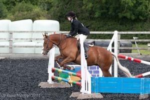 Class 3 -  Fences not above 2'3